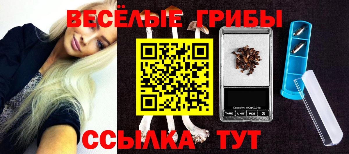 Кандалакша  Псилоцибиновые грибы Psilocybe  Вход с VPN 